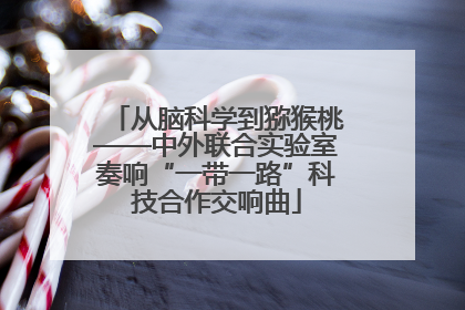 从脑科学到猕猴桃——中外联合实验室奏响“一带一路”科技合作交响曲