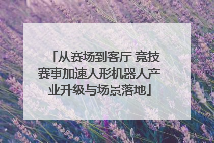 从赛场到客厅 竞技赛事加速人形机器人产业升级与场景落地