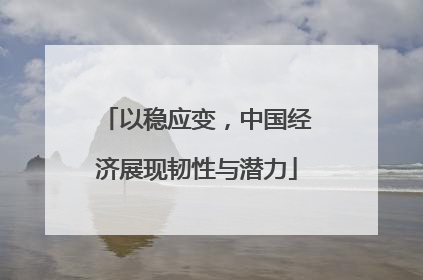以稳应变，中国经济展现韧性与潜力