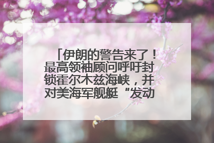 伊朗的警告来了！最高领袖顾问呼吁封锁霍尔木兹海峡，并对美海军舰艇“发动导弹袭击”
