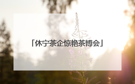 休宁茶企惊艳茶博会