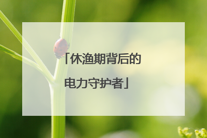 休渔期背后的电力守护者