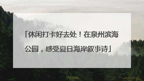 休闲打卡好去处！在泉州滨海公园，感受夏日海岸叙事诗