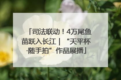司法联动！4万尾鱼苗跃入长江｜“天平杯·随手拍”作品展播