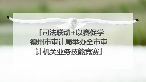 司法联动+以赛促学 德州市审计局举办全市审计机关业务技能竞赛