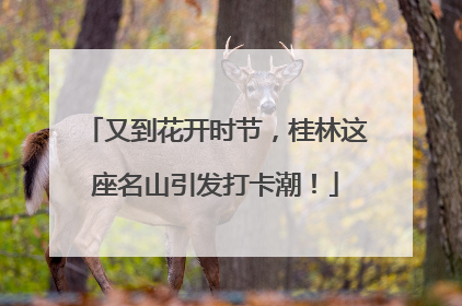 又到花开时节，桂林这座名山引发打卡潮！