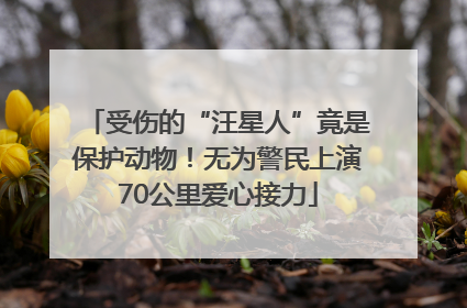 受伤的“汪星人”竟是保护动物！无为警民上演70公里爱心接力