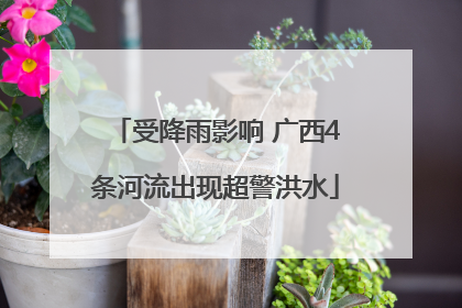 受降雨影响 广西4条河流出现超警洪水