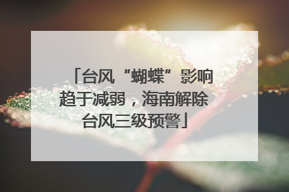 台风“蝴蝶”影响趋于减弱，海南解除台风三级预警