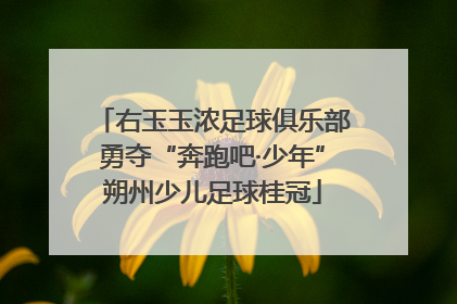 右玉玉浓足球俱乐部勇夺“奔跑吧·少年”朔州少儿足球桂冠
