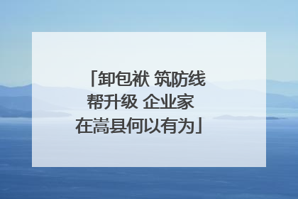 卸包袱 筑防线 帮升级 企业家在嵩县何以有为