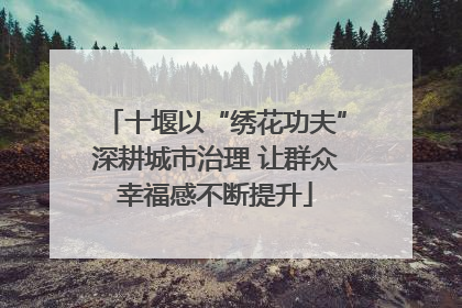 十堰以“绣花功夫”深耕城市治理 让群众幸福感不断提升