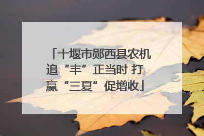 十堰市郧西县农机追“丰”正当时 打赢“三夏”促增收