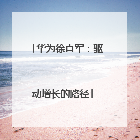 华为徐直军：驱动增长的路径