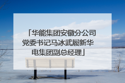 华能集团安徽分公司党委书记马冰武履新华电集团副总经理