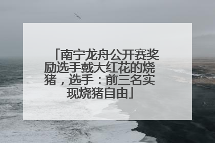 南宁龙舟公开赛奖励选手戴大红花的烧猪，选手：前三名实现烧猪自由