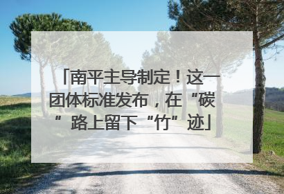 南平主导制定！这一团体标准发布，在“碳”路上留下“竹”迹
