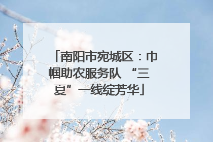 南阳市宛城区：巾帼助农服务队 “三夏”一线绽芳华