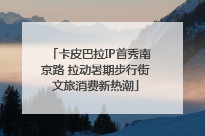 卡皮巴拉IP首秀南京路 拉动暑期步行街文旅消费新热潮