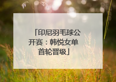 印尼羽毛球公开赛：韩悦女单首轮晋级