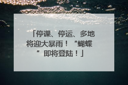 停课、停运、多地将迎大暴雨！“蝴蝶”即将登陆！