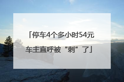 停车4个多小时54元 车主直呼被“刺”了