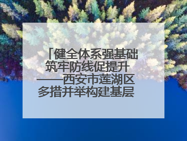 健全体系强基础 筑牢防线促提升——西安市莲湖区多措并举构建基层应急管理新格局