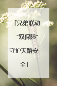 兄弟联动“双保险”守护天路安全