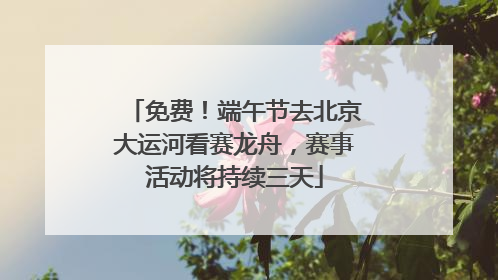 免费！端午节去北京大运河看赛龙舟，赛事活动将持续三天