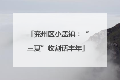 兖州区小孟镇：“三夏”收割话丰年