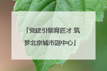 党建引领育匠才 筑梦北京城市副中心
