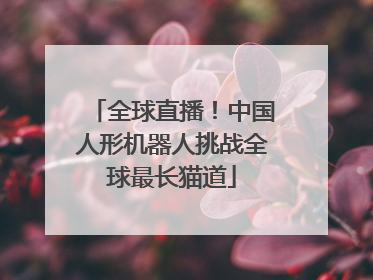 全球直播！中国人形机器人挑战全球最长猫道