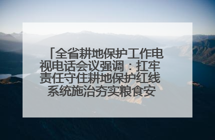 全省耕地保护工作电视电话会议强调：扛牢责任守住耕地保护红线 系统施治夯实粮食安全根基 王宁作出批示 王予波出席并讲话