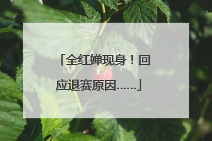 全红婵现身！回应退赛原因……