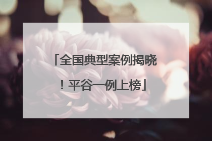 全国典型案例揭晓！平谷一例上榜