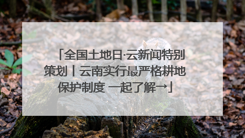 全国土地日·云新闻特别策划丨云南实行最严格耕地保护制度 一起了解→
