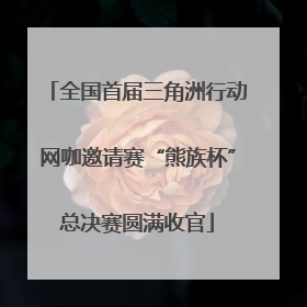 全国首届三角洲行动网咖邀请赛“熊族杯”总决赛圆满收官