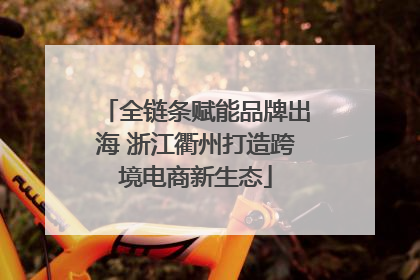 全链条赋能品牌出海 浙江衢州打造跨境电商新生态