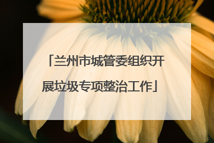 兰州市城管委组织开展垃圾专项整治工作