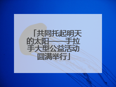 共同托起明天的太阳——手拉手大型公益活动圆满举行