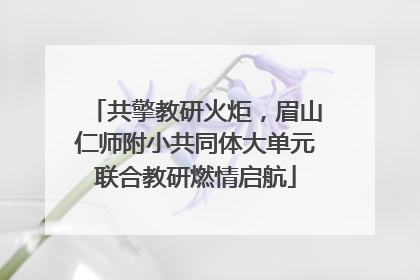 共擎教研火炬，眉山仁师附小共同体大单元联合教研燃情启航