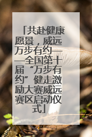 共赴健康愿景，威远万步有约——全国第十届“万步有约”健走激励大赛威远赛区启动仪式