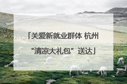 关爱新就业群体 杭州“清凉大礼包”送达