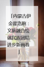 内蒙古伊金霍洛旗：文旅融合绘就民族团结进步新画卷