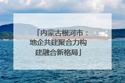 内蒙古根河市：地企共建聚合力构建融合新格局
