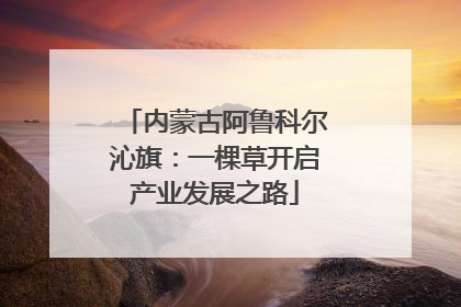 内蒙古阿鲁科尔沁旗：一棵草开启产业发展之路