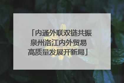 内通外联双链共振 泉州洛江内外贸易高质量发展开新局