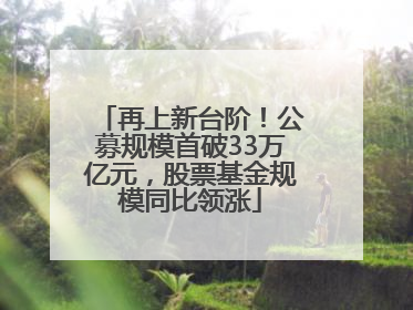 再上新台阶！公募规模首破33万亿元，股票基金规模同比领涨