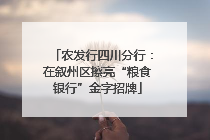 农发行四川分行：在叙州区擦亮“粮食银行”金字招牌