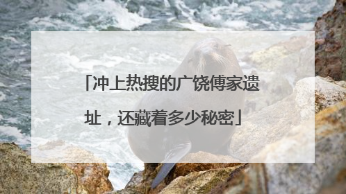 冲上热搜的广饶傅家遗址，还藏着多少秘密